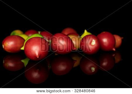 Lot Of Whole Fresh Tomato De Barao Isolated On Black Glass