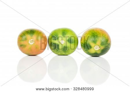Group Of Three Whole Unripe Fresh Tomato De Barao Isolated On White Background