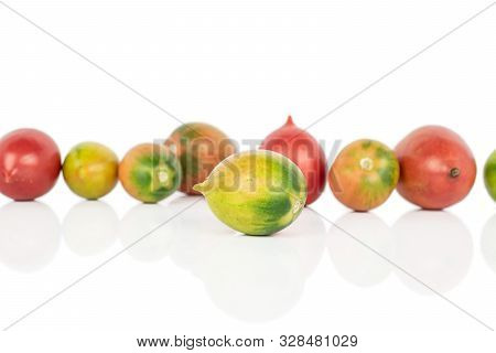 Lot Of Whole Fresh Tomato De Barao Isolated On White Background