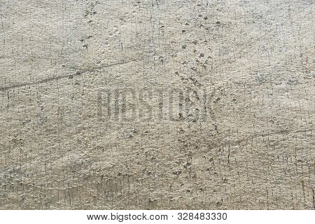 Sucre Bolivia September 27 Original Dinosaur Footprints In The Archaeological Park Cretaceous, The M
