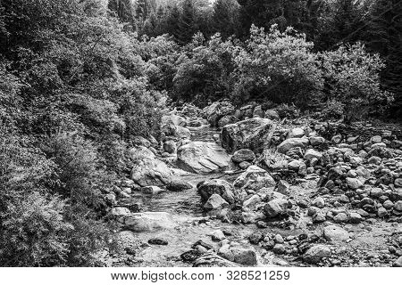 Alpine Stream Flows Tumultuously Among The Rocks And Brambles On The Pieve Tesino Plateau In The Lag
