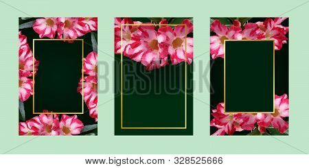 Greenery Flowers Greeting Invitation Card Template Gold Frame For Text Message On Green Background