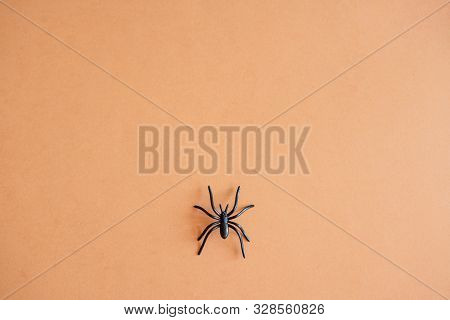 Halloween Background Decoration Holiday Concept. Minimal Flat Lay View Of Black Spide. October