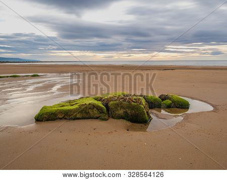 Stones On The Shore Of The North Sea In Brora