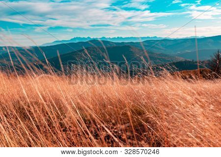 Autumn Mountain Landscape, High Red Dry Grass On The Background Of Mountains And Blue Turquoise Sky