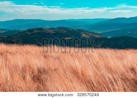 Autumn Mountain Landscape, High Red Dry Grass On The Background Of Mountains And Blue Turquoise Sky