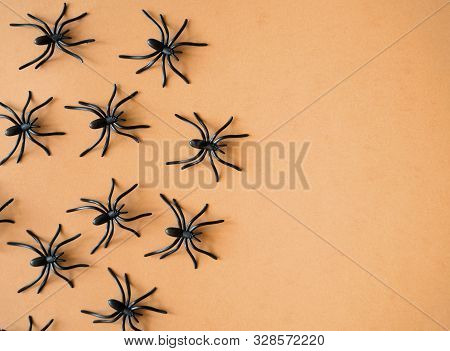Halloween Background Decoration Holiday Concept. Minimal Flat Lay View Of Black Spide. October