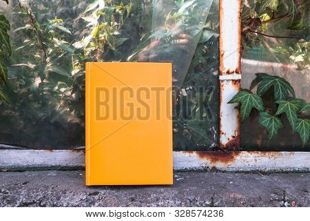 Yellow Book. Yellow Notepad. Orange Book. Layout, Standing On The Window. Plant Ivy.