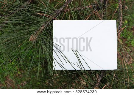 White Paper Layout. White Notebook. Mockup Book. White Sign. Background Trees, Spruce, Bright Green 