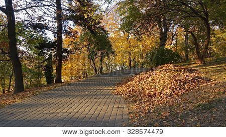 Golden Autumn In The Park. Khreshchaty Park In Kiev