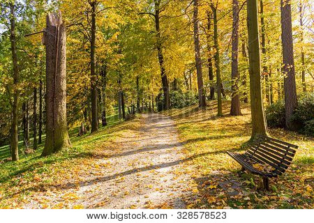 The Path Leads In One Directions. The Way To The Autumn Park In The Centre Of The Forest.