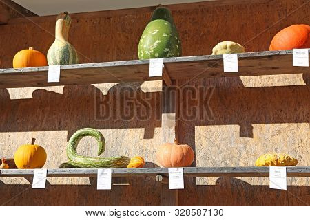 Ludwigsburg, Germany-october 16, 2016: The World's Largest Pumpkin Festival At The Ludwigsburg Palac