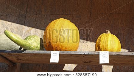 Ludwigsburg, Germany-october 16, 2016: The World's Largest Pumpkin Festival At The Ludwigsburg Palac