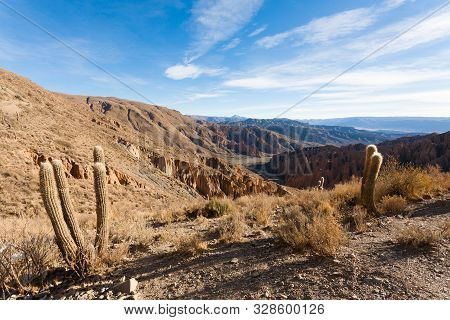 Bolivian Canyon Near Tupiza,bolivia.quebrada De Palala.rock Formations
