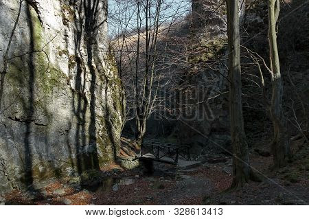 Autumn Walk Through The Maze Of Teteven Balkan With High Peaks, River, Bridge And Mossy Steep Cliff,