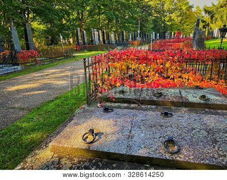 Zentralfriedhof, Vienna, Austria - October 15, 2019: The Zentralfriedhof Is The Largest Cemetery Of 