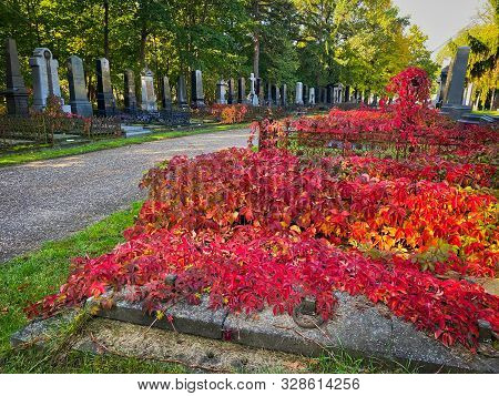 Zentralfriedhof, Vienna, Austria - October 15, 2019: The Zentralfriedhof Is The Largest Cemetery Of 