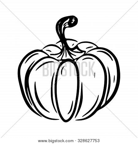Vector Hand Drawn Pumpkin Outline Doodle Icon.