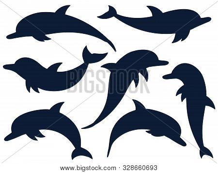 Dolphin, A Collection Of Dark Outlines On A White Background. Vector Illustration. Marine Animals, C