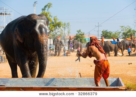 Elefant Trainer Spritzwasser