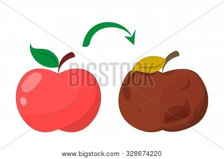 Bad Rotten Apple. Red Fresh Fruit Become Bad Vector Isolated. Organic Rotten Vegetarian Food.