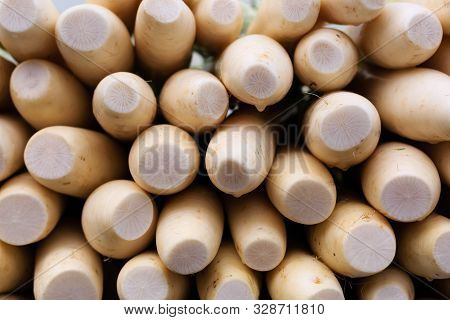 Fresh White Radish Pile Closeup View Background