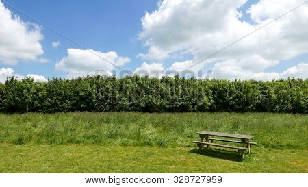 Empty Bench In A Weadow In The Spring