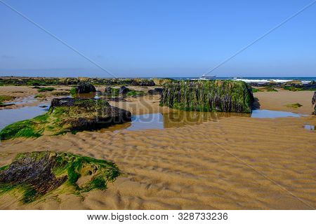 Tynemouth Long Sands On The North East Coast Of England Pictured On A Warm Summer Day. This Is A Ver