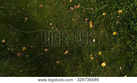 Awn With Fallen Leaves From Trees On An Autumn Day