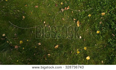 Awn With Fallen Leaves From Trees On An Autumn Day