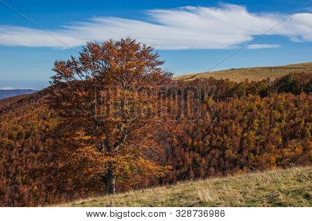 Autumn Season And Foliage In The Monti Della Laga, A Mountain Range In The Central Apennines Of Ital