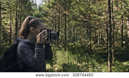 Traveler Photographing Scenic View In Forest. One Caucasian Woman Shooting Nice Magic Look. Girl Tak