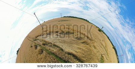 Aerial Drone 180 Degree Panoramic View On Damaged Wheat Field After Wind Storm, Rural Landscape.