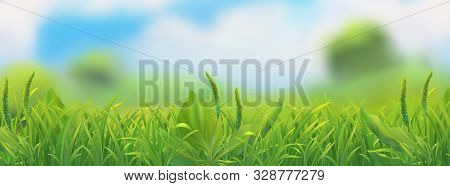 Spring Landscape Background. Green Grass Vector Illustration