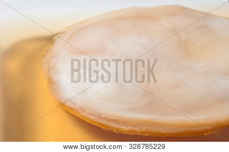 Kombucha Mushroomtea With Scoby 