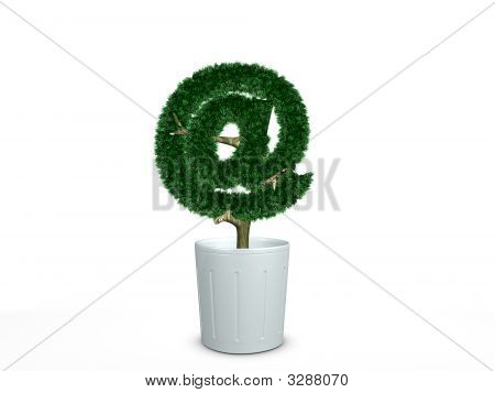 Bonsai @