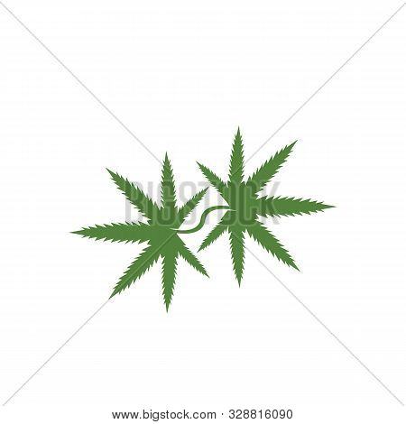 Canabis Leaf Vector Illustration Icon