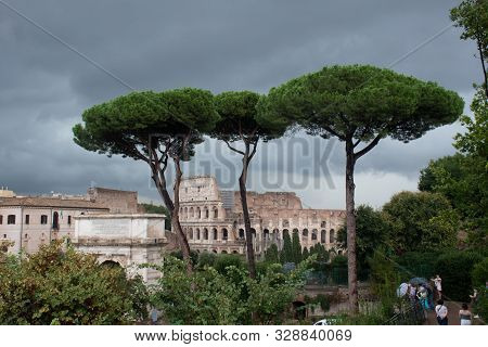 Rome Italy -2 October 2019: Colosseum Viewed Through Umbrella Pine Trees From The Forum