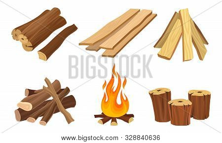 Set Of Wood Logs For Forestry And Lumber Industry Vector Illustrated Set