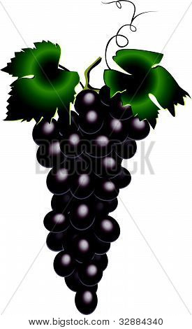 Uvas
