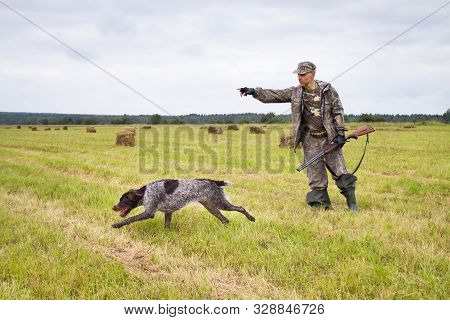 The Hunter Sends The Hunting Dog To Search For Birds With A Hand Gesture In A Mown Meadow