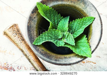 Melissa Leaf Or Lemon Balm