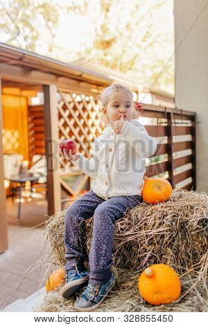Adorable Laughing Caucasian Baby Toddler In White Knittes Jacket Sitting On The Haystack With Pumpki