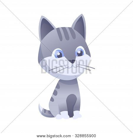 Kitty Vector Illustration. House Domestic Cat In Position And Activitie. The Cat Sits.