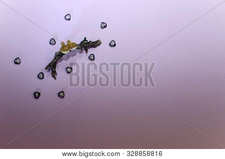 Two Figures Of Birds In Love Cuddle Sitting On A Branch Around A Bead Hearts On A Purple Background 