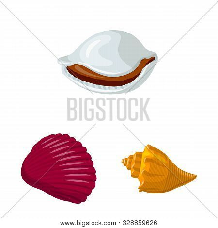 Isolated Object Of Seashell And Mollusk Sign. Collection Of Seashell And Seafood Vector Icon For Sto