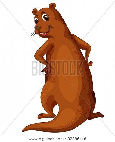 Ilustração de uma lontra cômica