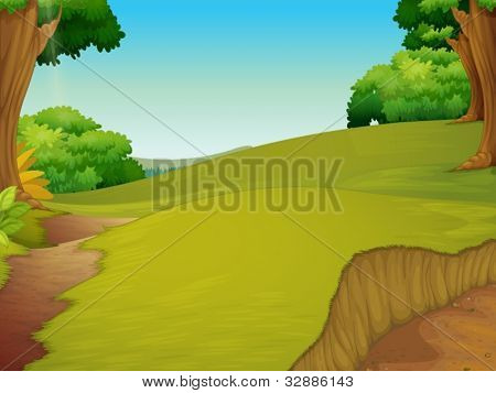 Abbildung auf einer Waldlichtung von Gras