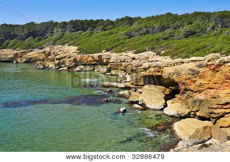 en visning af forskellige bugter i Bosc de la Marquesa, Tarragona, Spanien