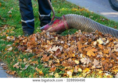 Worker Clearing Up The Leaves Using A Leaf Blower Tool